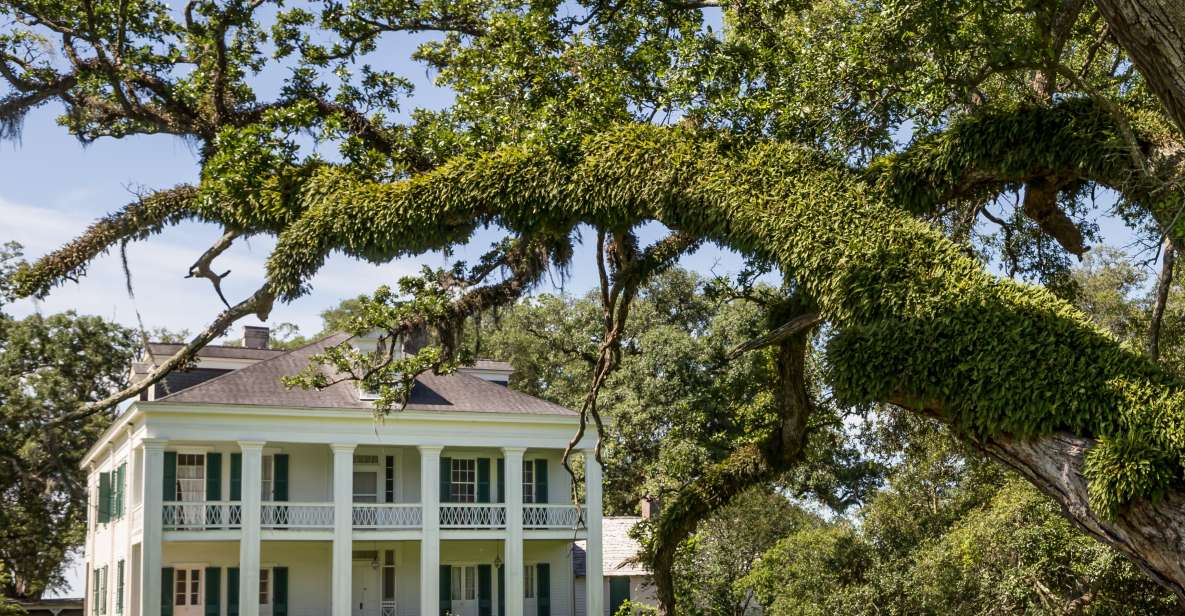 New Orleans: Felicity Plantation Guided Tour - About Felicity Plantation