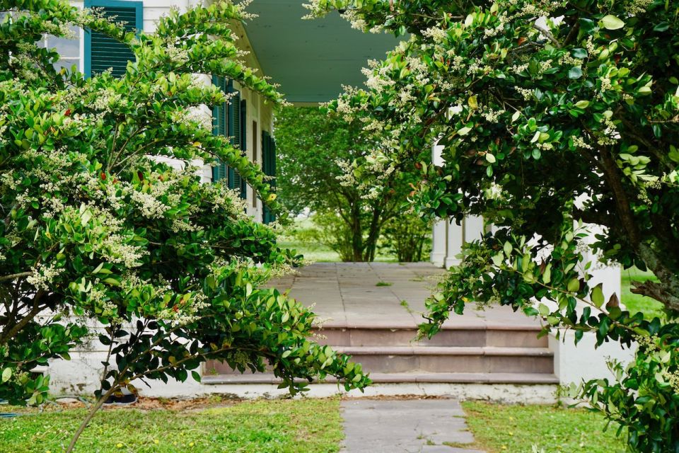 New Orleans: Felicity Plantation Guided Tour - Tour Inclusions