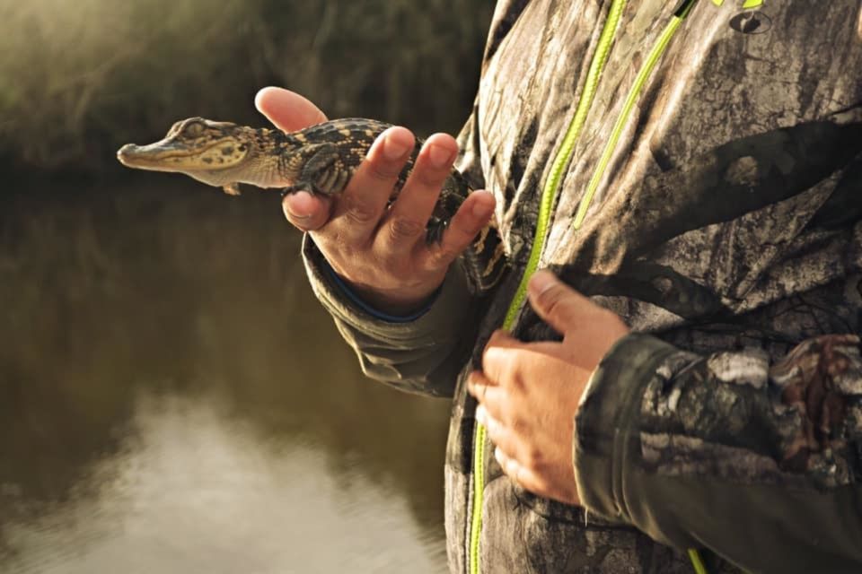 New Orleans: High Speed 16 Passenger Airboat Ride - Unique Swamp and Marsh Access