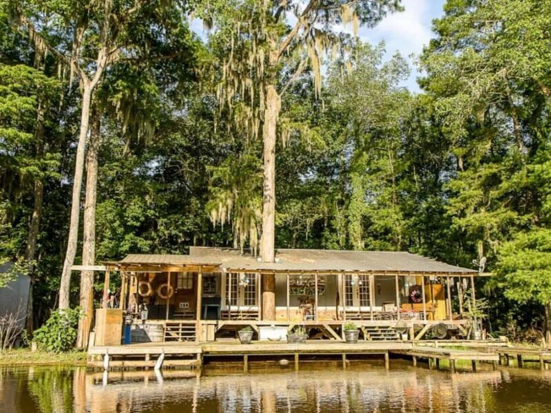 New Orleans: Honey Island Swamp Tour - An In-Depth Look at the Honey Island Swamp Tour