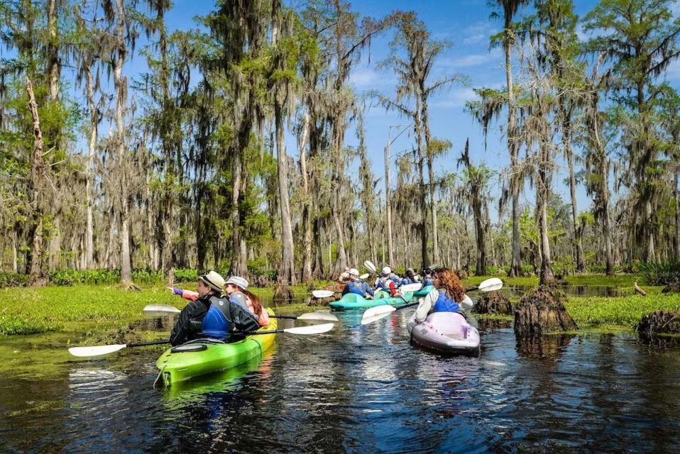 New Orleans: Manchac Magic Kayak Swamp Tour - Paddling the Bayou