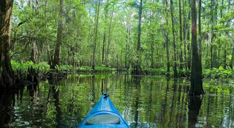 New Orleans: Manchac Magic Kayak Swamp Tour - Historical Significance of the Area