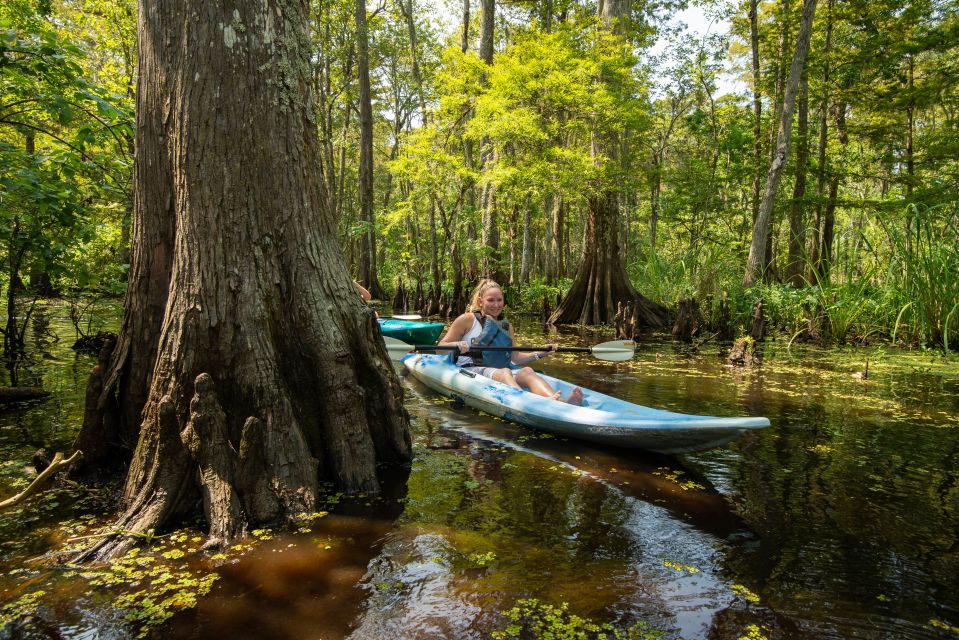 New Orleans: Manchac Magic Kayak Swamp Tour - Flora and Fauna Insights