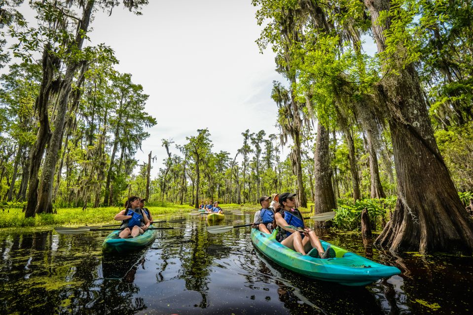 New Orleans: Manchac Magic Kayak Swamp Tour - Key Activity Details