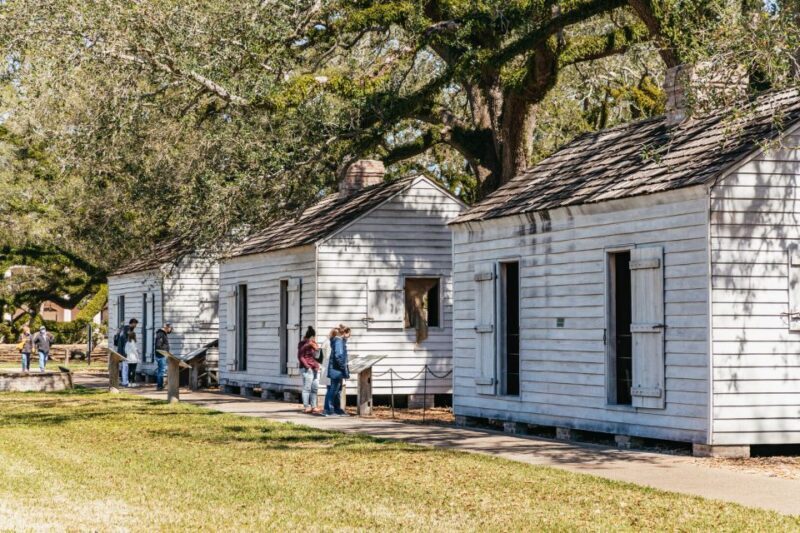 New Orleans: Oak Alley Plantation & Airboat Swamp Combo Tour - Authentic Perspectives from Travelers