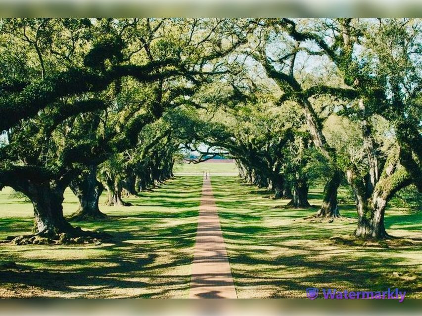 New Orleans: Oak Alley Plantation and Katrina City Tour - Pickup and Drop-off Options
