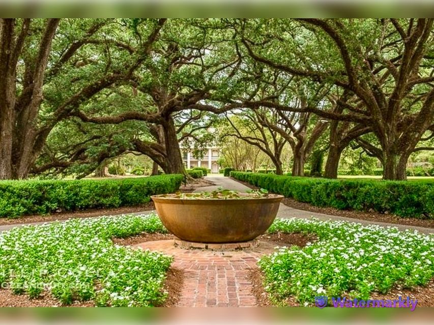 New Orleans: Oak Alley Plantation and Katrina City Tour - Cancellation Policy