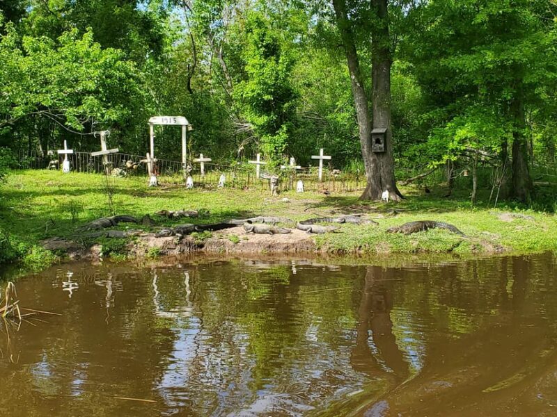 New Orleans: Oak Alley Plantation -N- Swamp Tour Full Day - The Sum Up