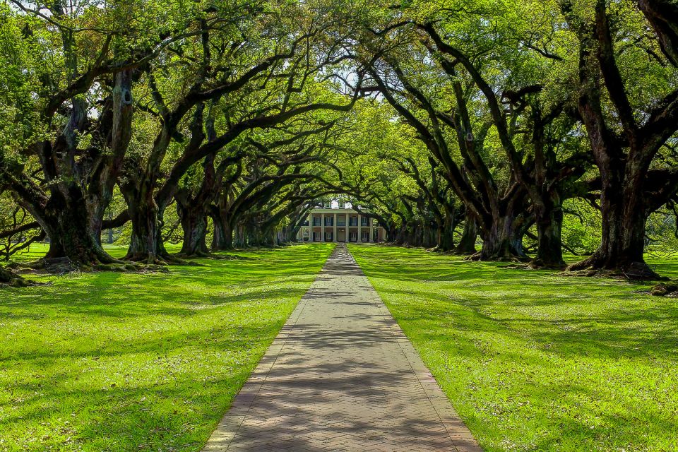 New Orleans: Oak Alley Plantation & Swamp Cruise Day Trip - Recap