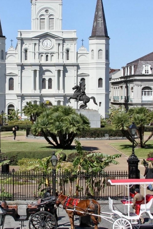 New Orleans: Private Guided City Tour - Impact of Hurricane Katrina and Flood Control