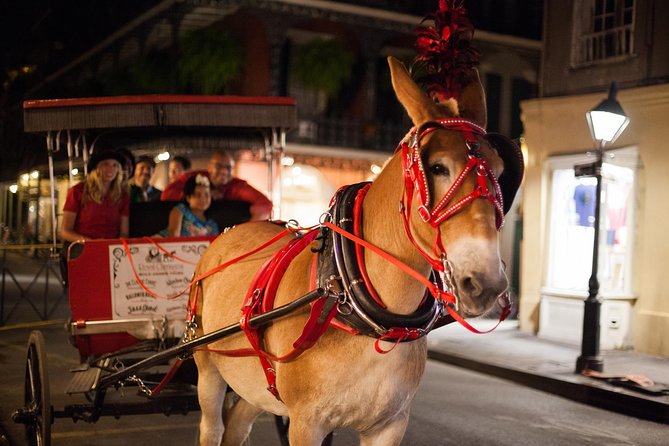 New Orleans Small-Group Haunted History Carriage Tour - Highlights