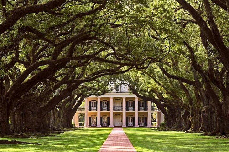 New Orleans: Swamp Boat Ride and Historic Plantation Tour - Key Points