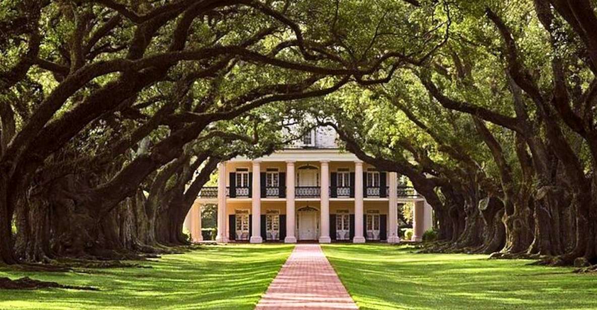 New Orleans: Swamp Boat Ride and Historic Plantation Tour - Alley of Oak Trees