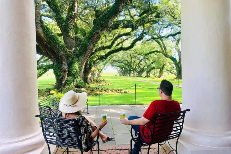 New Orleans: Swamp Boat Ride & Oak Alley Plantation Tour - A Deep Dive into the Tour Experience