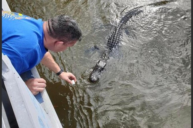New Orleans Swamp Tour Boat Adventure - Additional Information