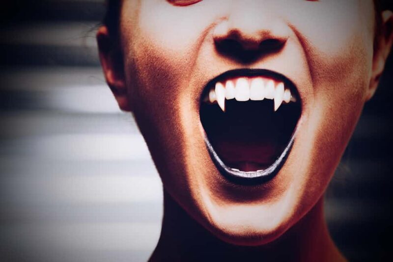 New Orleans: Vampires, Voodoo, and Ghosts Tour - Who Should Consider This Tour?