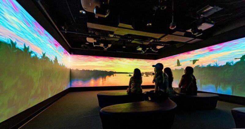 New Orleans: Vue Orleans Observation Deck Entry Ticket - The Experience in Action: Pros and Cons