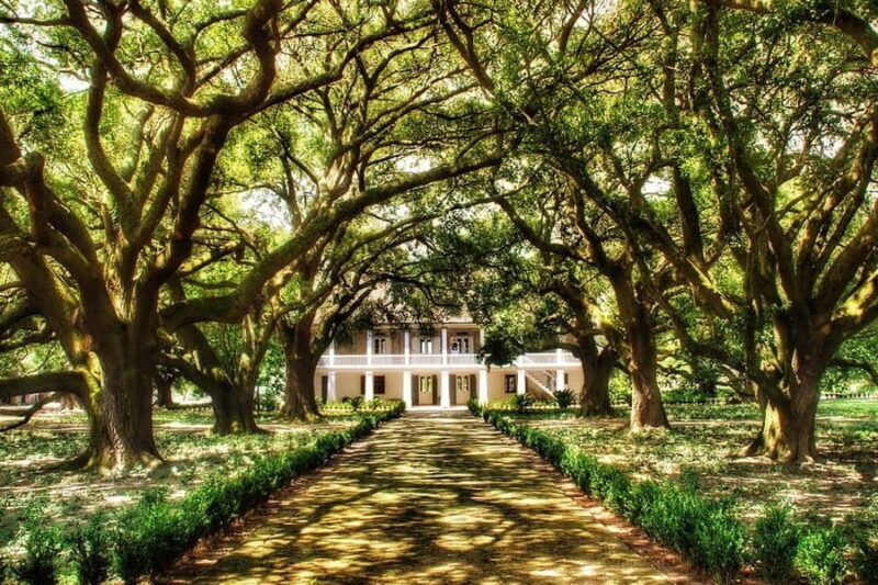 New Orleans: Whitney Plantation Tour with Transportation - The Journey to Whitney Plantation