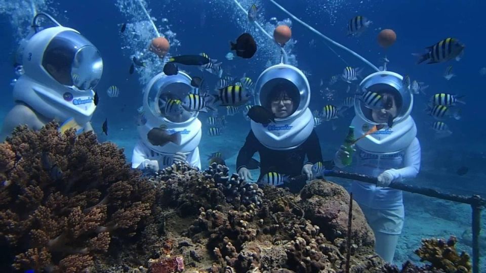 New Parasailing Adventure in Nusa Dua Beach Free Pick Up - Key Points