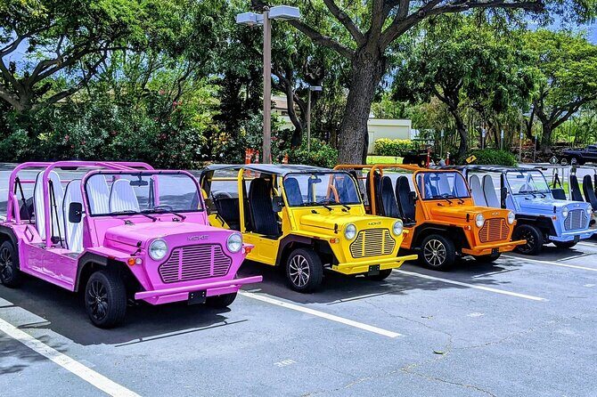 *** New Product *** Moke My Day Adventure Tour free WiFi - Key Points