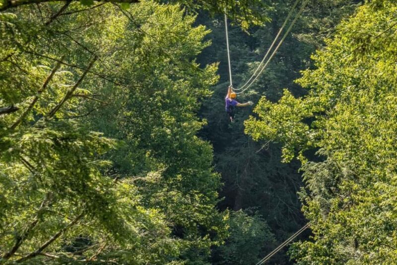 New River Gorge: Gravity Ziplines Adventure - Practical Tips for Participants