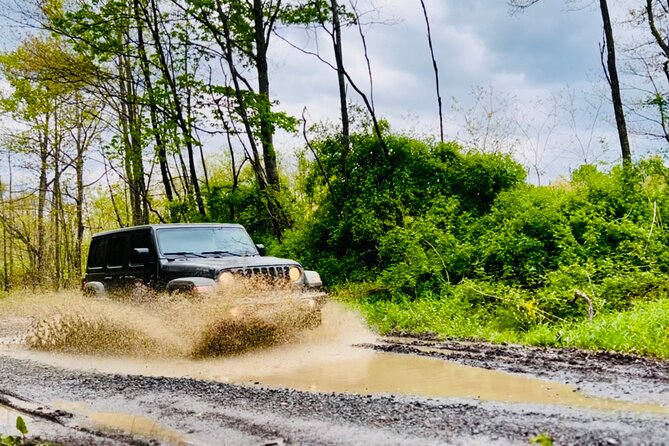 New River Gorge Jeep Tour (Half Day) - Booking Information