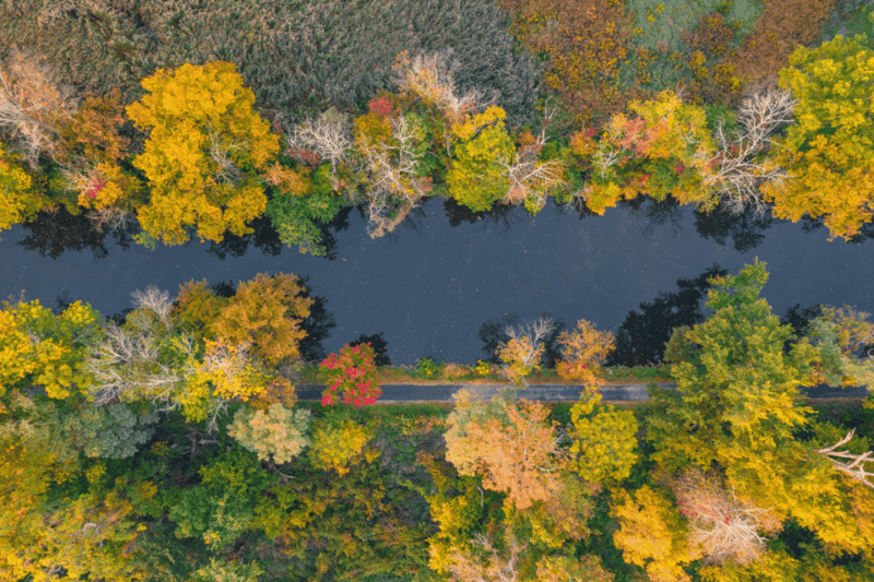 New River Gorge National Park: Ultimate Scenic Driving Tour - Meeting Point and Logistics