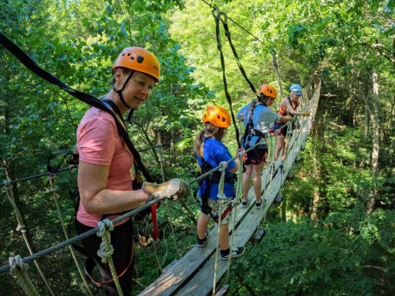 New River Gorge: TreeTops Zipline Tour - Key Points