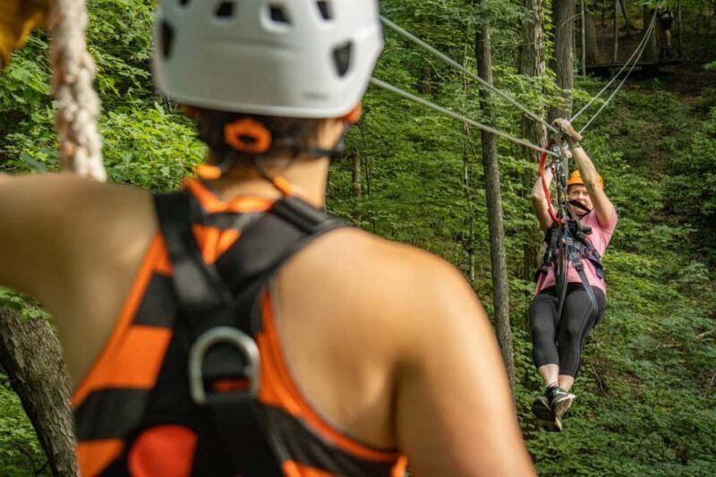 New River Gorge: TreeTops Zipline Tour - Detailed Breakdown of the Itinerary