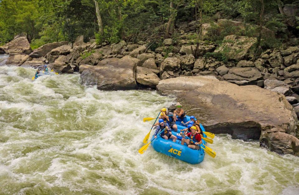 New River Gorge Whitewater Rafting - Lower New Half Day - Experience Thrilling Class IV+ Rapids