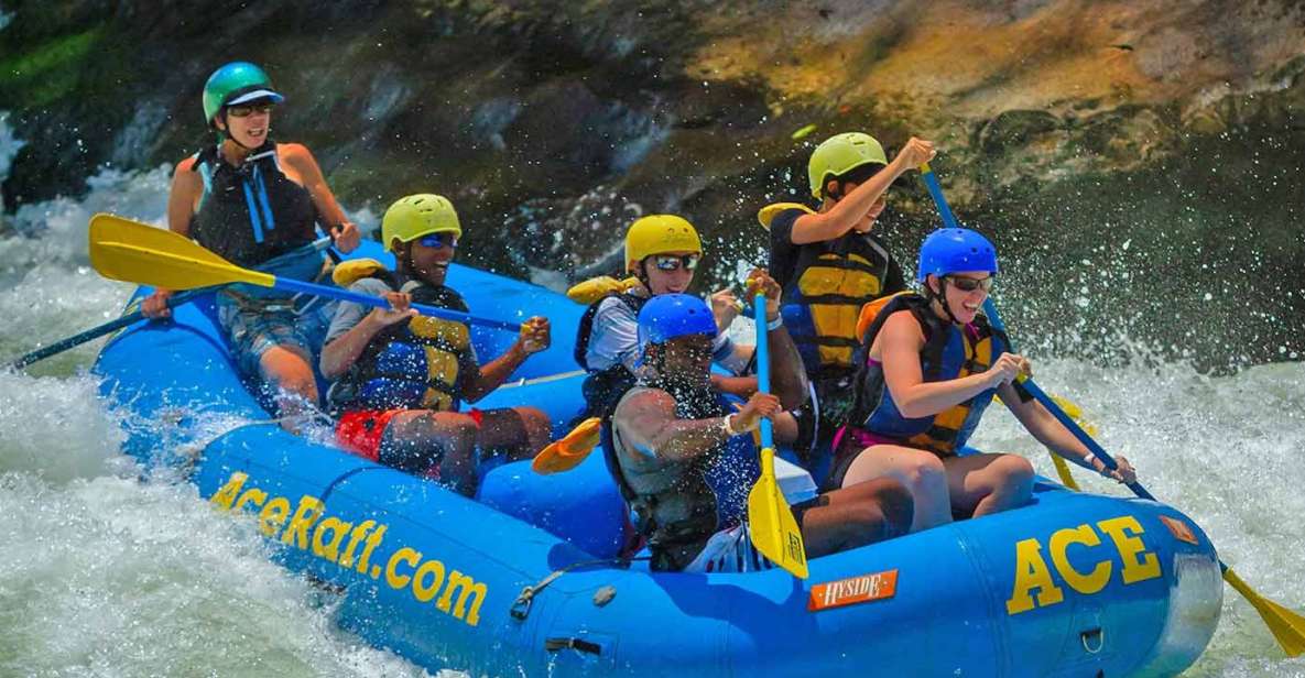 New River Gorge Whitewater Rafting - Lower New Half Day - Professional Guide and Whitewater Equipment