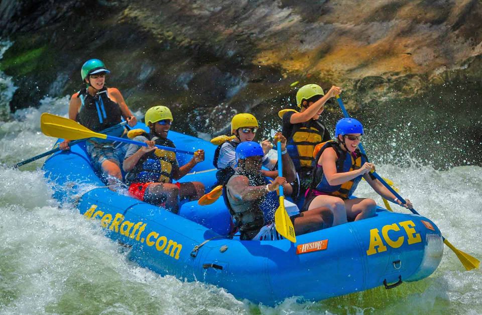 New River Gorge Whitewater Rafting - Lower New Half Day - Requirements for Participants