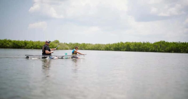 New Smyrna Beach: Guided Clear Kayak Tour with Wildlife - Frequently Asked Questions