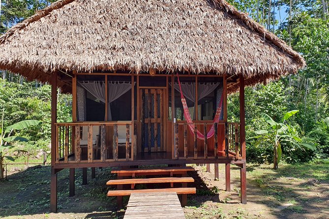 New Tambopata All In One - Traveler Reviews and Ratings