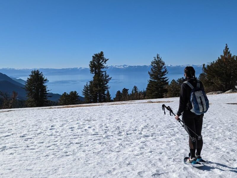 New Washoe City: Chickadee Ridge Beginner Snowshoeing Hike - Key Points