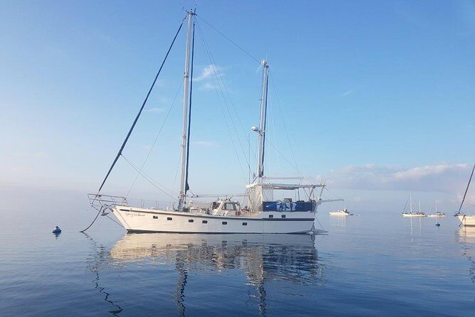 New Years Eve Sydney Harbour Cruise 2026-2027 - The Sum Up