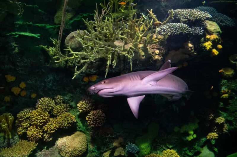 New York Aquarium Entry Ticket - Practical Considerations for Visitors