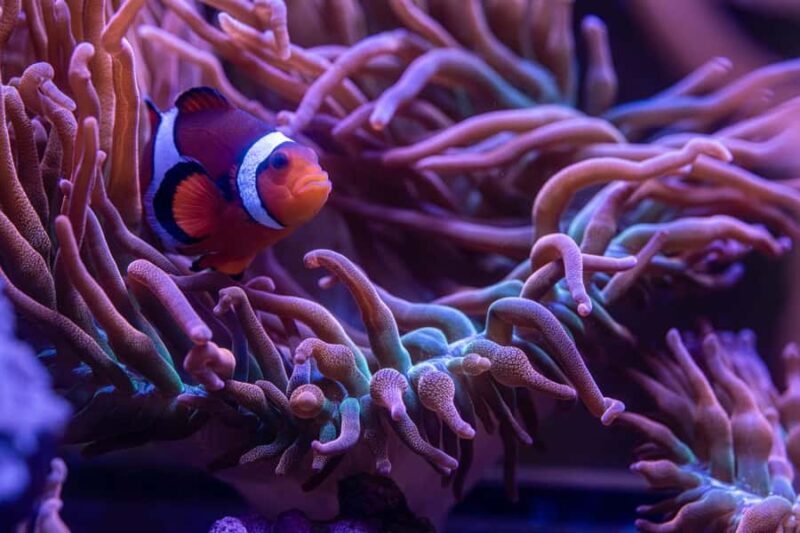 New York Aquarium Entry Ticket - Frequently Asked Questions