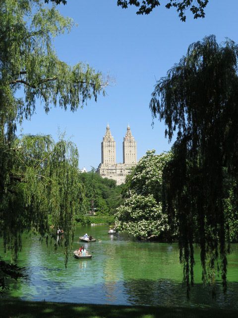 New York City: 2-Hour Photography Tour - Tour Experience