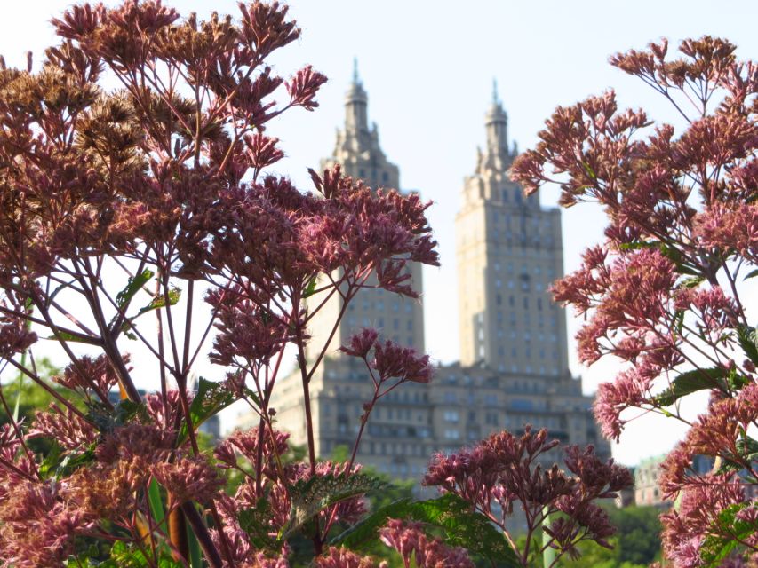 New York City: 2-Hour Photography Tour - Pricing