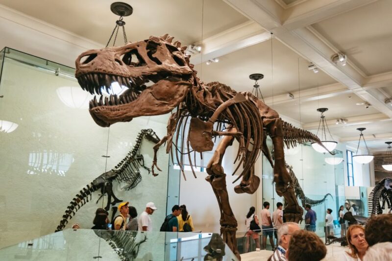 New York City: American Museum of Natural History Ticket - In-Depth Look at the Exhibits