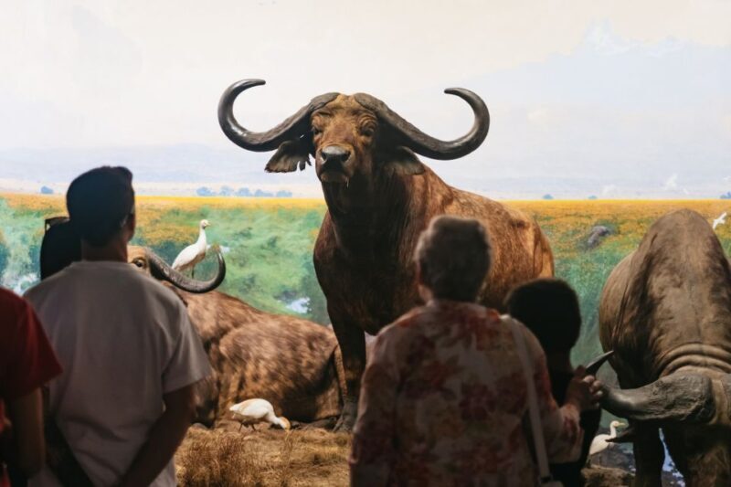 New York City: American Museum of Natural History Ticket - Practical Aspects of Your Visit