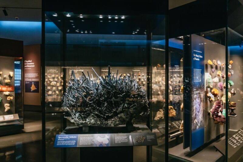 New York City: American Museum of Natural History Ticket - FAQs