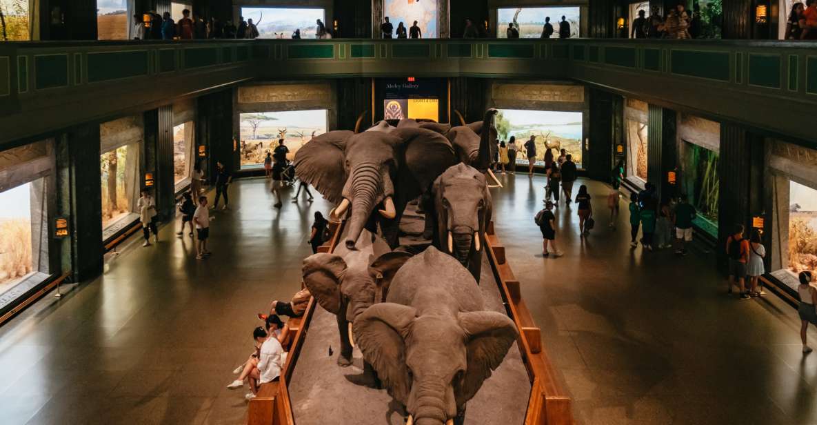 New York City: American Museum of Natural History Ticket - Exhibits and Experiences