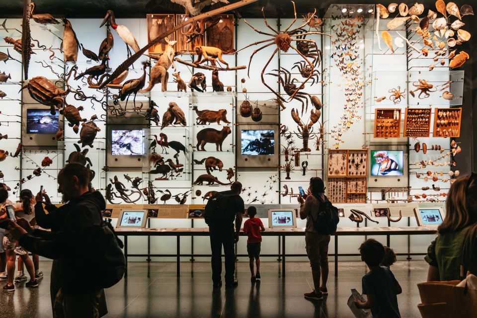 New York City: American Museum of Natural History Ticket - Special Exhibitions