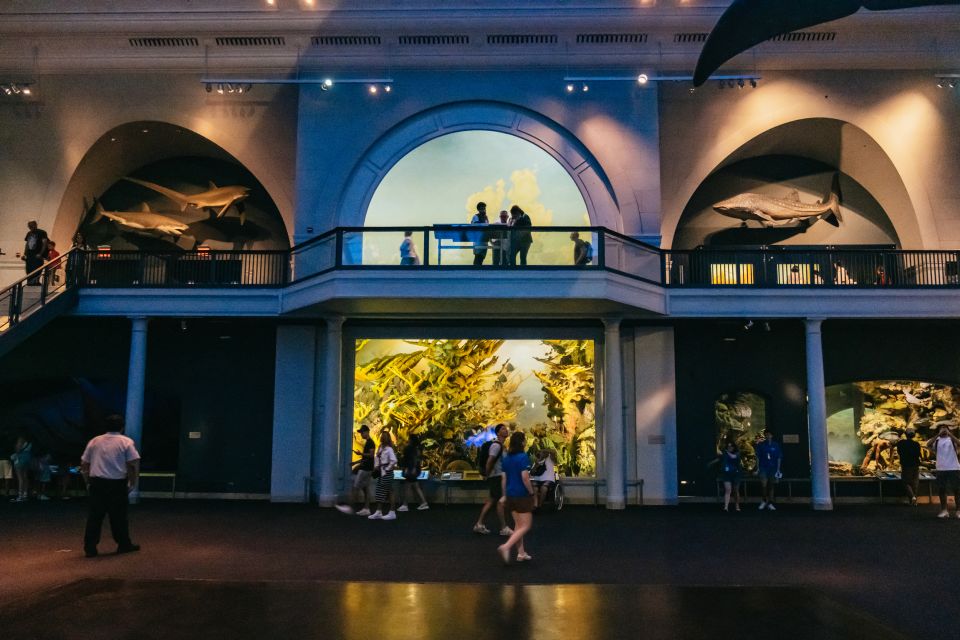 New York City: American Museum of Natural History Ticket - Explore the Gilder Center