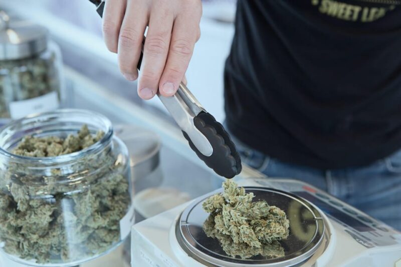 New York City: Cannabis Culture Tour - Itinerary and Experience