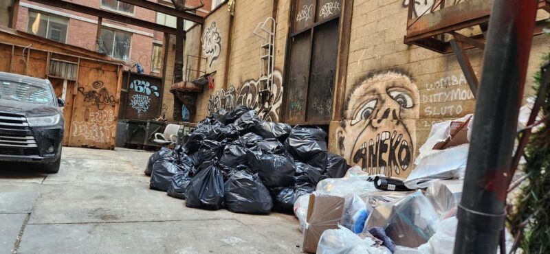 New York City: Garbage and Rats Walking Tour - A Detailed Look at the Tour Experience