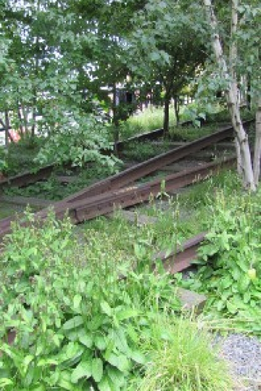 New York City: High Line Walking Tour - Highlights of the Tour