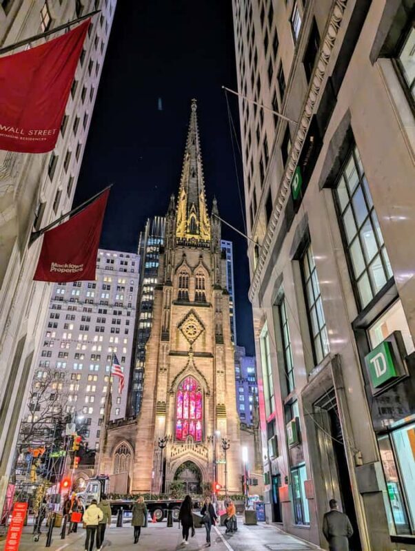 New York City Holiday Lights Tour - Authentic Reviews and Real Experiences